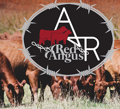 A&R Red Angus